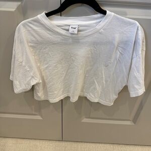 Aritzia Cropped Tshirt